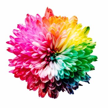 Katseye Colour Blends